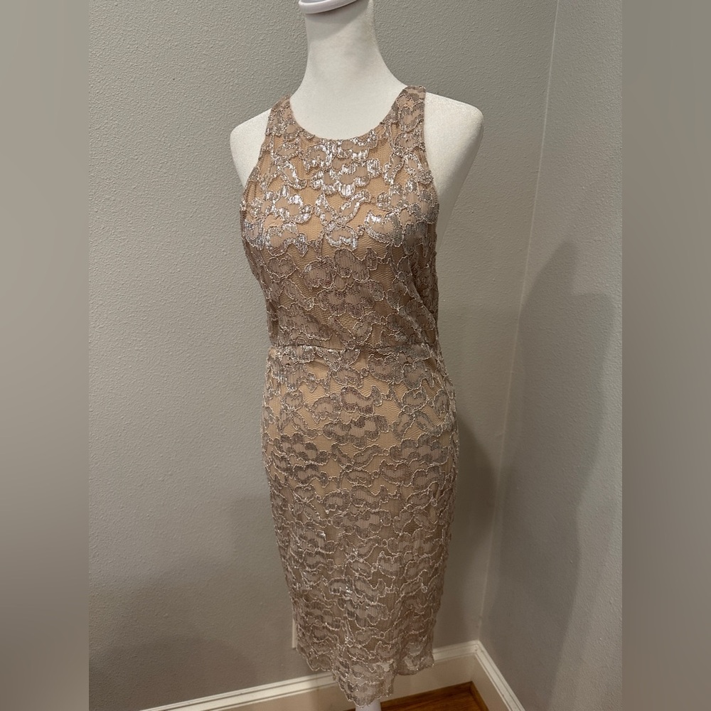 Alice + Olivia Lace Midi Dress - Tan and Silver